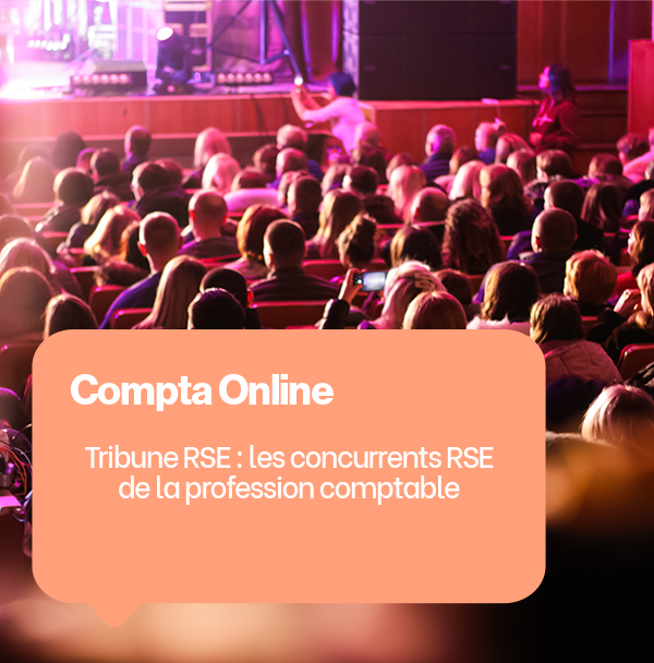 Tribune mission RSE expert comptable