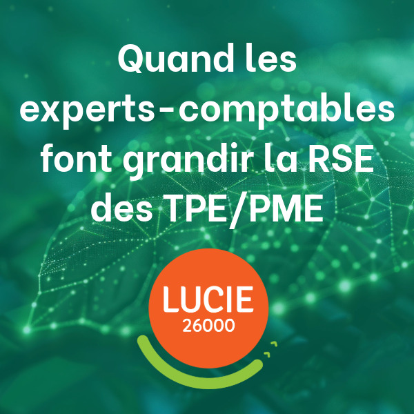 Label Lucie experts comptable